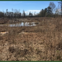 80 Acres in Scott County in Morton  MS