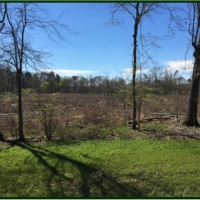 80 Acres in Scott County in Morton  MS images 2