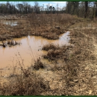 80 Acres in Scott County in Morton  MS images 4