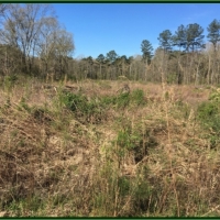 160 Acres in Scott County in Morton &nbsp; MS images 3