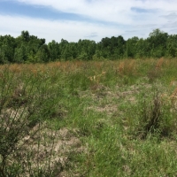 50 Acres in Madison County in Canton  MS