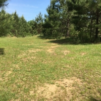50 Acres in Madison County in Canton  MS images 3