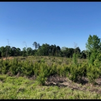 38 Acres in Attala County in Sallis  MS