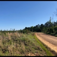38 Acres in Attala County in Sallis  MS images 4