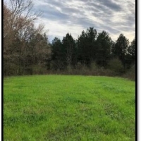 40.40 Acres in Rankin County in Brandon  MS images 4