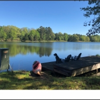 1 258 Acres  Foxmoor Farm  in Lee County in Guntown  MS images 2