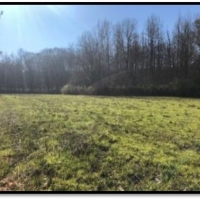 1 258 Acres  Foxmoor Farm  in Lee County in Guntown  MS images 5