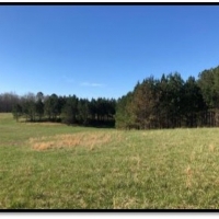 1 258 Acres  Foxmoor Farm  in Lee County in Guntown  MS images 6