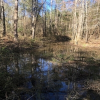 119 Acres in Holmes County in West  MS images 3
