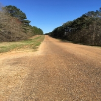 119 Acres in Holmes County in West  MS images 4