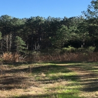 119 Acres in Holmes County in West  MS images 5