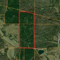 119 Acres in Holmes County in West  MS images 6