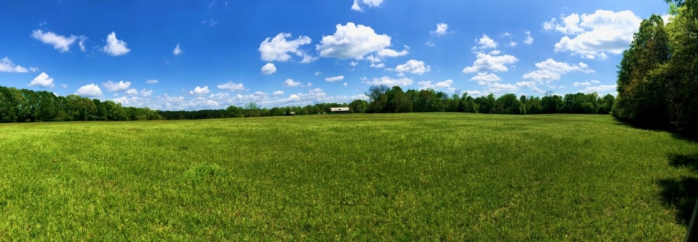 140 Acres in Claiborne County in Port Gibson  MS featured image