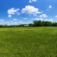 140 Acres in Claiborne County in Port Gibson  MS