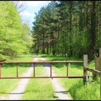 140 Acres in Claiborne County in Port Gibson  MS images 5