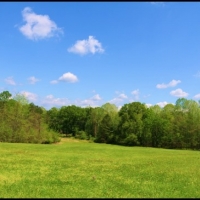 140 Acres in Claiborne County in Port Gibson  MS images 6