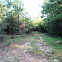 04-007-cr-1-west-hunting-and-timber images 2