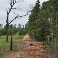 94 Acres &nbsp; Off CR 2070 &nbsp; Tract 1196 images 6