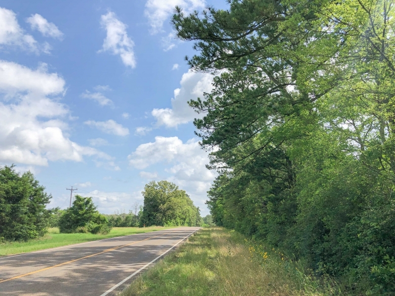 642 Acres &nbsp; Hwy 21 &nbsp; Tract 1195 featured image
