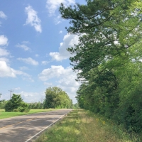 642 Acres &nbsp; Hwy 21 &nbsp; Tract 1195