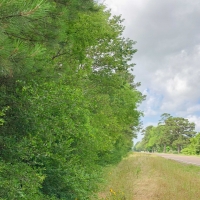 642 Acres &nbsp; Hwy 21 &nbsp; Tract 1195 images 2