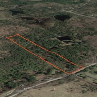 14 acre Wooded Hunting Land Amboy NY images 4