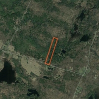 14 acre Wooded Hunting Land Amboy NY images 5