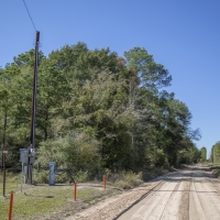 410 Acres &nbsp; CR 3585 &nbsp; Tract 8 images 2