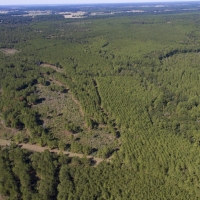 410 Acres &nbsp; CR 3585 &nbsp; Tract 8 images 4