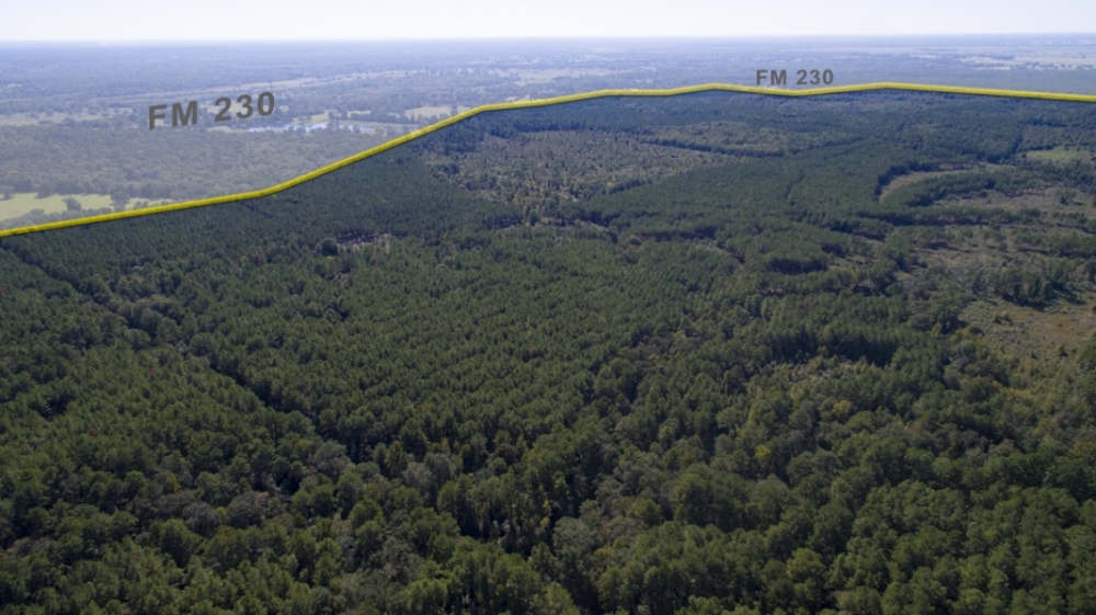 931 Acres &nbsp; FM 230 &nbsp; Tract 7 featured image
