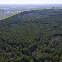931 Acres &nbsp; FM 230 &nbsp; Tract 7