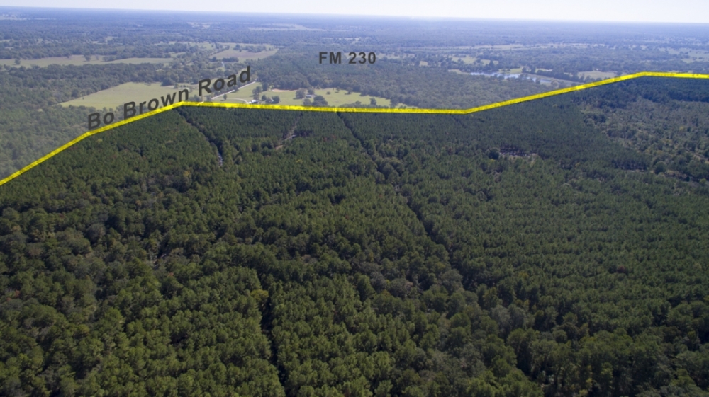 185 Acres &nbsp; Bo Brown Rd &nbsp; Tract 5 featured image