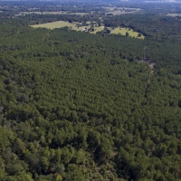 185 Acres &nbsp; Bo Brown Rd &nbsp; Tract 4 images 2