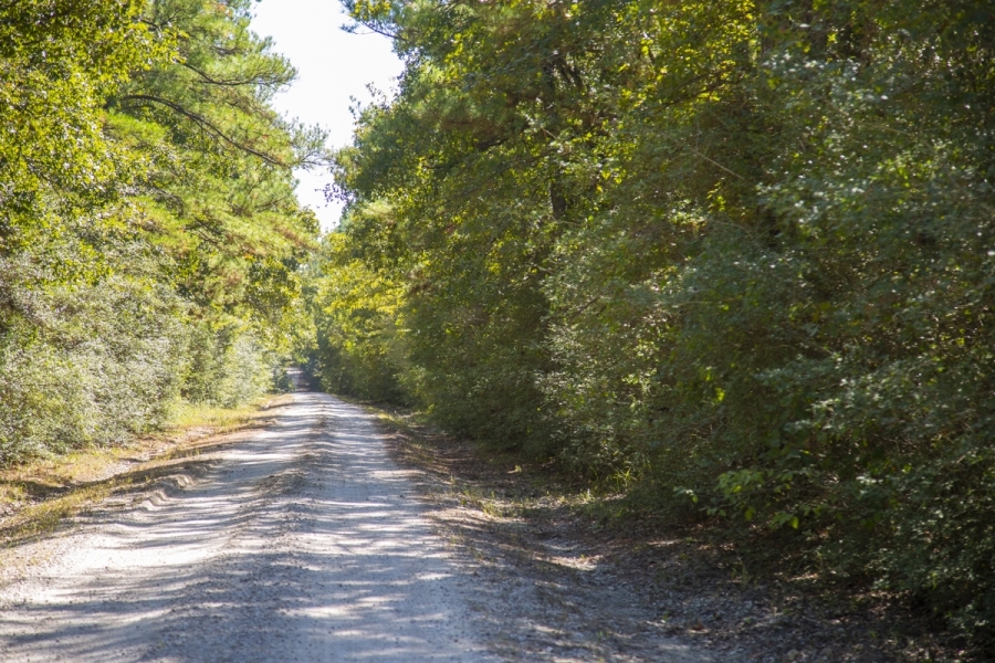 150 Acres &nbsp; Bo Brown Rd &nbsp; Tract 2 featured image