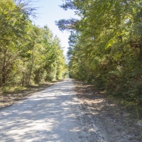 150 Acres &nbsp; Bo Brown Rd &nbsp; Tract 2 images 6