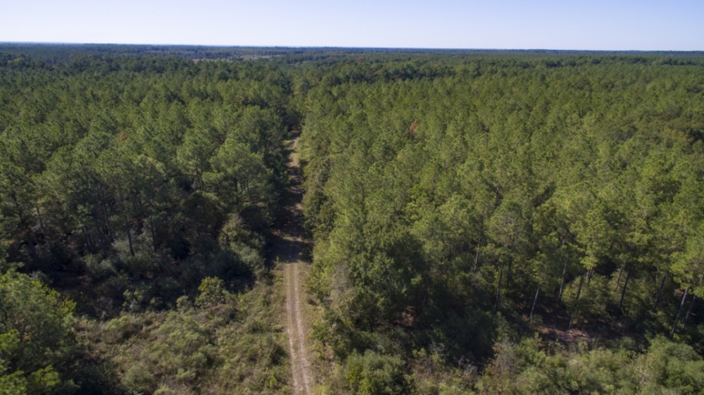 2560 Acres &nbsp; FM 230 Bo Brown Rd CR 3585 &nbsp; Tract 9 featured image