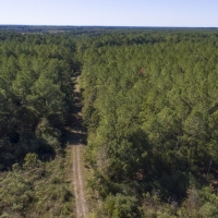 2560 Acres &nbsp; FM 230 Bo Brown Rd CR 3585 &nbsp; Tract 9 images 1