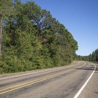 2560 Acres &nbsp; FM 230 Bo Brown Rd CR 3585 &nbsp; Tract 9 images 6