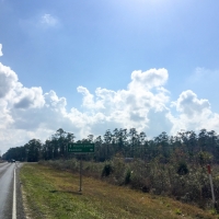 48 Acres &nbsp; Hwy 62