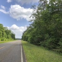 45 Acres &nbsp; Hwy 62 images 6