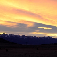 Trophy Hunting Ranch For Sale in Central Colorado images 6