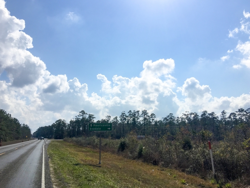 42 Acres &nbsp; FM 2246 featured image