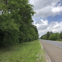 42 Acres &nbsp; FM 2246 images 4