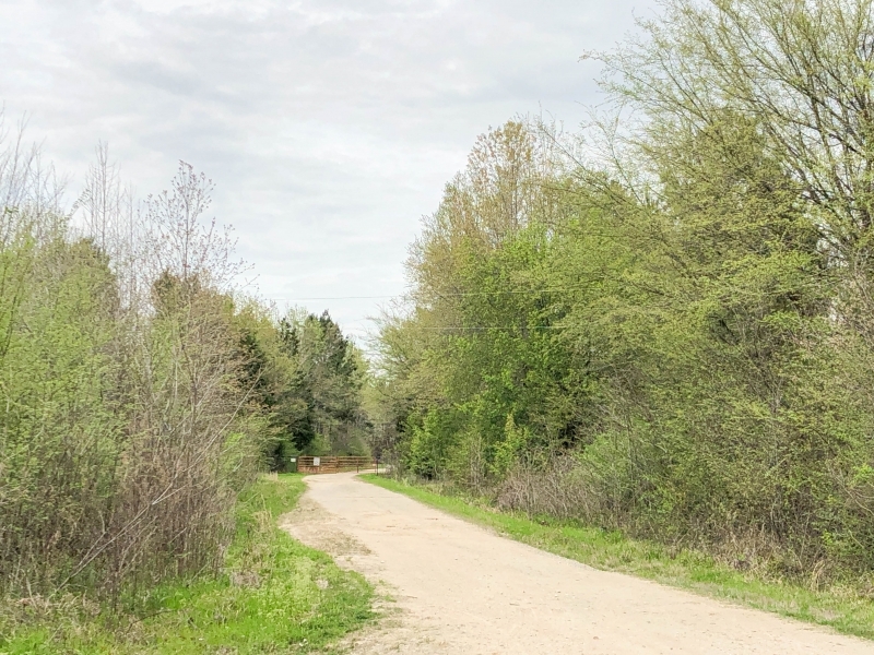 286 Acres &nbsp; CR 4308 &nbsp; Tract 1004 featured image