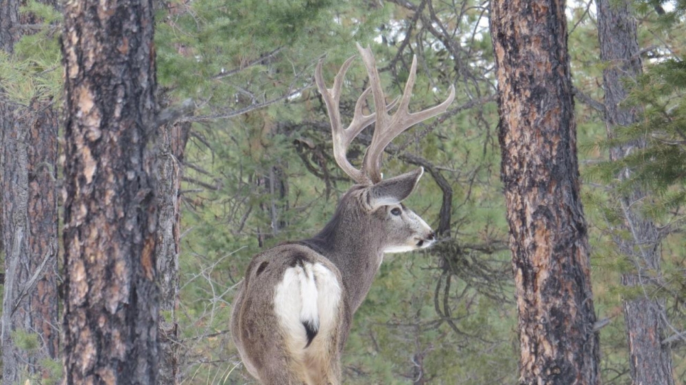 H10 Santa Fe Trail Ranch featured image