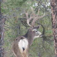 H10 Santa Fe Trail Ranch
