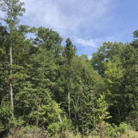 25 Ac &nbsp; FM 1943 images 2
