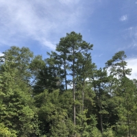 25 Ac &nbsp; FM 1943 images 6