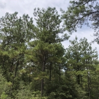 280 Ac &nbsp; FM 1943 images 2