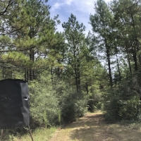 280 Ac &nbsp; FM 1943 images 3